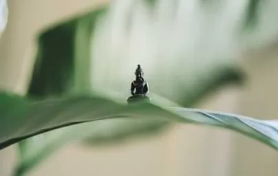 专业视角与娱乐趣味性的完美融合 - 开云